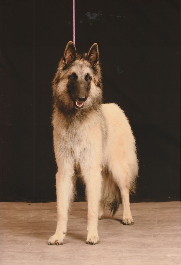 Savoie fleural des Loups de la Tiarde