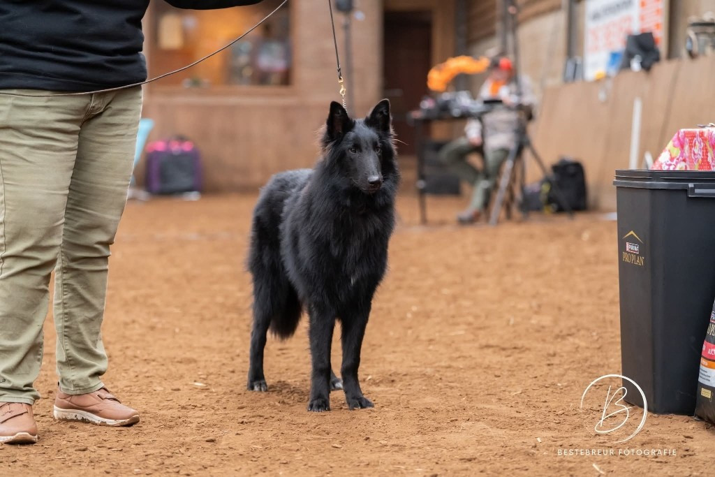 Astro De La Vallee De L'aixette
